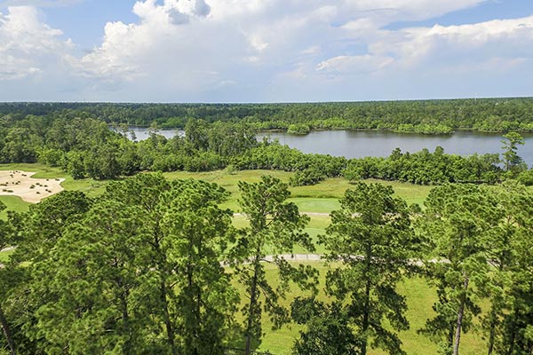 Picture of Shenandoah Texas